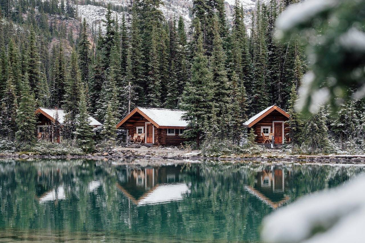 Cabañas de madera entre pinos reflejadas en el lago